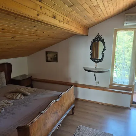 Maxim - Free Parking Warna