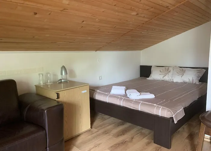 Guest house Maxim - Free Parking 3*