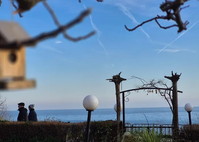 Maxim - Free Parking 3*