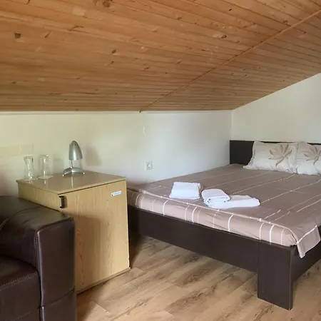 Casa de hóspedes Maxim - Free Parking 3*