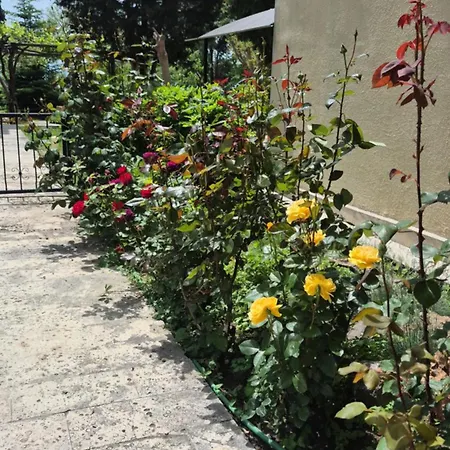 Maxim - Free Parking Varna