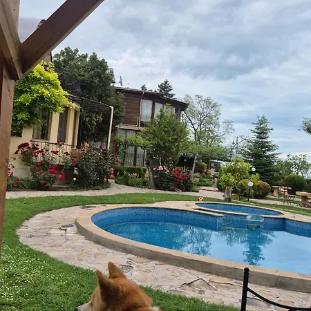 Casa de hóspedes Maxim - Free Parking 3*