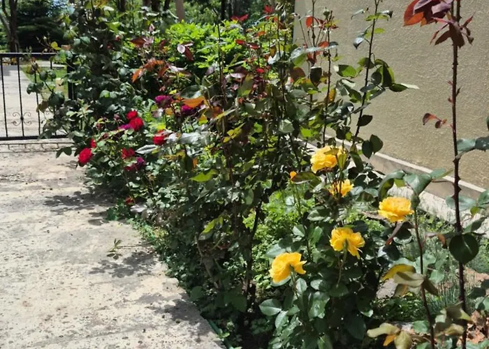 Maxim - Free Parking Варна